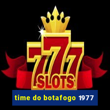 time do botafogo 1977